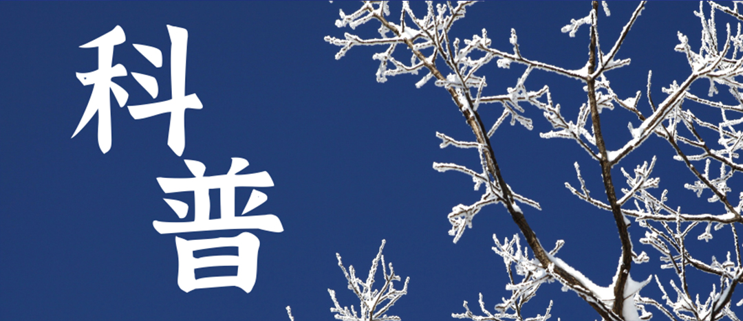 科普 | 冬季雨雪天氣?；愤\輸車輛注意事項