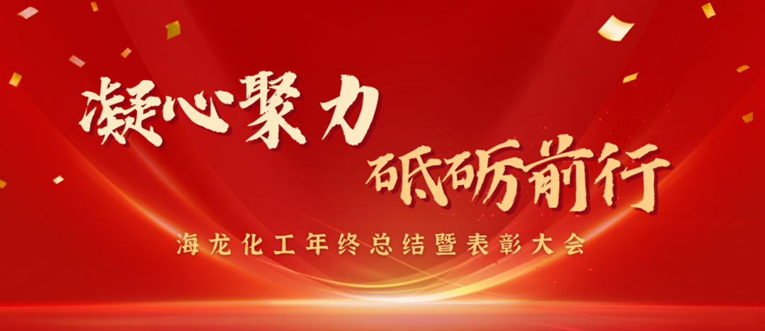 表彰 | 凝心聚力，砥礪前行，海龍化工年終總結暨表彰大會圓滿舉行